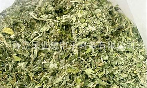 薄荷原料期货价格行情走势(薄荷油期货今日行情)_https://www.dbjyqcj.com_上期所_第1张
