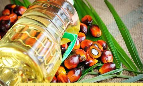 3月5日棕榈油期货行情(棕榈油期货价格行情)_https://www.dbjyqcj.com_上期所_第1张
