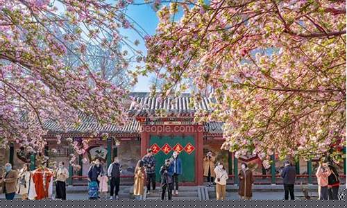 石家庄春色满园期货行情(河北春色满园是干嘛的)_https://www.dbjyqcj.com_郑商所_第1张