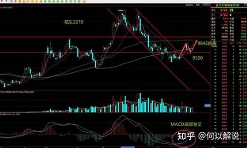 花生期货行情分析(花生期货行情分析最新花生现货价格)_https://www.dbjyqcj.com_大商所_第1张