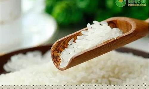 香港期货大米价格行情最新(香港期货大米价格行情最新消息)_https://www.dbjyqcj.com_上期所_第1张
