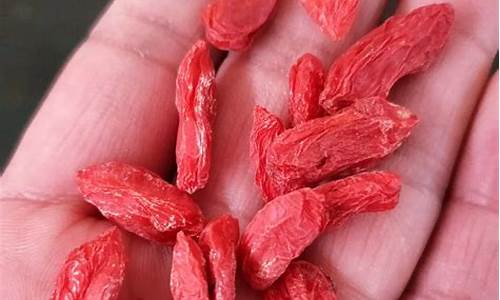 枸杞期货行情(枸杞期货行情走势)_https://www.dbjyqcj.com_大商所_第1张