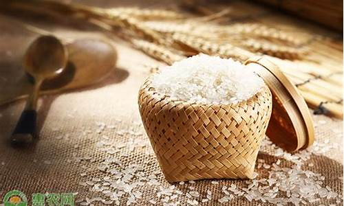 什么是大米期货行情趋势(大米期货行情走势图)_https://www.dbjyqcj.com_大商所_第1张