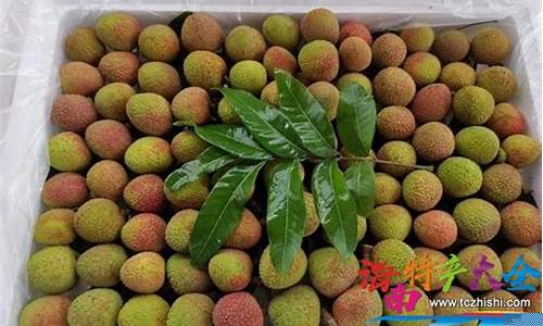 荔枝期货价格行情(荔枝最新价格行情)_https://www.dbjyqcj.com_大商所_第1张