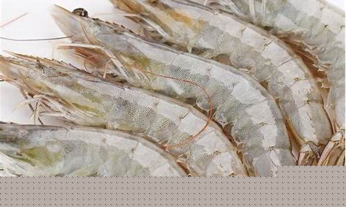 期货白虾价格最新行情(白虾价格今日价)_https://www.dbjyqcj.com_上期所_第1张