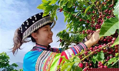 保山咖啡期货行情分析(2021年云南保山咖啡价格)_https://www.dbjyqcj.com_上期能源_第1张