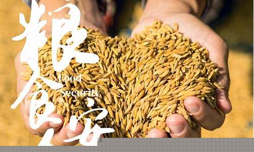 今年粮食行情如何(今年粮食价格走势图)_https://www.dbjyqcj.com_中金所_第1张