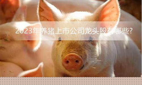 养猪的股票有哪些(养猪有关的股票)_https://www.dbjyqcj.com_中金所_第1张