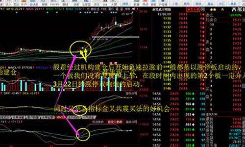 妖股买在启动时视频教学_https://www.dbjyqcj.com_广期所_第1张