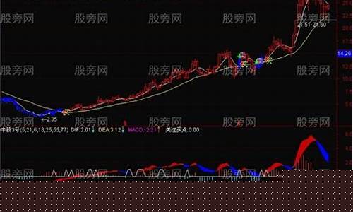 中长线最好的20只股票个股(中长线最好的20只股票)_https://www.dbjyqcj.com_上期所_第1张
