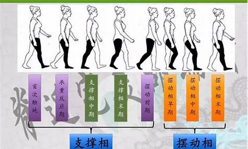 一个步行周期是指(一个步行周期是指什么)_https://www.dbjyqcj.com_郑商所_第1张