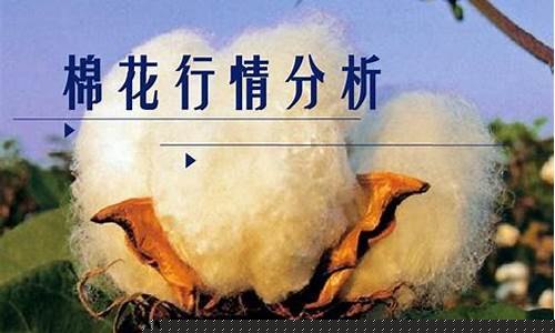 棉花期货基本面分析(棉花期货基本面分析报告)_https://www.dbjyqcj.com_中金所_第1张