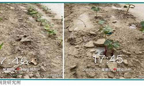 种植和期货(期货的区别)_https://www.dbjyqcj.com_郑商所_第1张