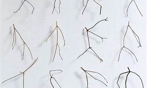 树枝期货(树枝科技股票行情)_https://www.dbjyqcj.com_上期能源_第1张