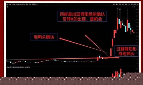 期货股票配资电话(股票期货开户条件有什么要求)_https://www.dbjyqcj.com_中金所_第1张