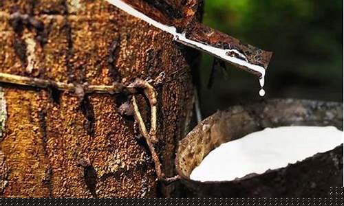 天然胶期货(天然胶期货金投网)_https://www.dbjyqcj.com_上期能源_第1张