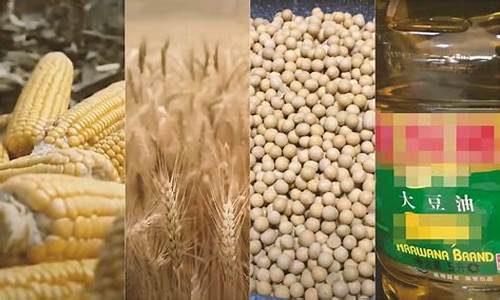 玉米期货频道(玉米期货频道直播)_https://www.dbjyqcj.com_大商所_第1张