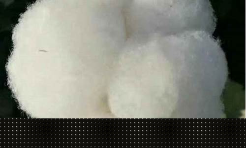 40棉期货(期货棉价格)_https://www.dbjyqcj.com_广期所_第1张