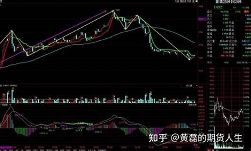 期货vi(期货vix是什么品种)_https://www.dbjyqcj.com_广期所_第1张