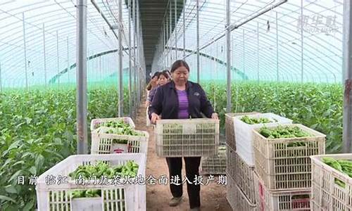 寿光蔬菜期货交易(寿光蔬菜期货交易大厅的电话)_https://www.dbjyqcj.com_中金所_第1张