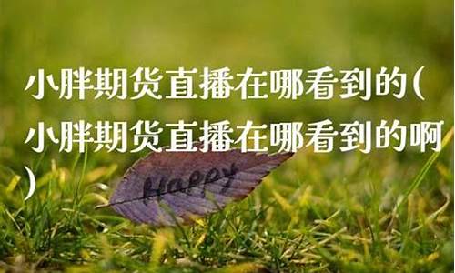 期货小胖(期货小白教学视频)_https://www.dbjyqcj.com_中金所_第1张