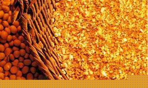 期货品种特点(期货品种手续费)_https://www.dbjyqcj.com_上期能源_第1张