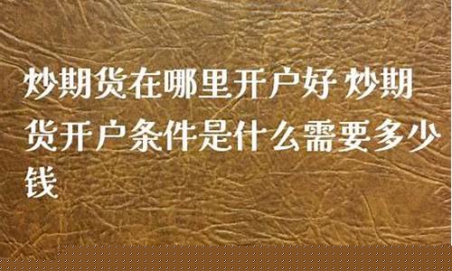 好炒手期货(请问炒期货最好的期货公司是哪家)_https://www.dbjyqcj.com_广期所_第1张