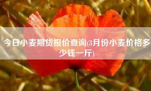 今日小麦期货报价查询(今日小麦期货报价查询新麦26)_https://www.dbjyqcj.com_中金所_第1张