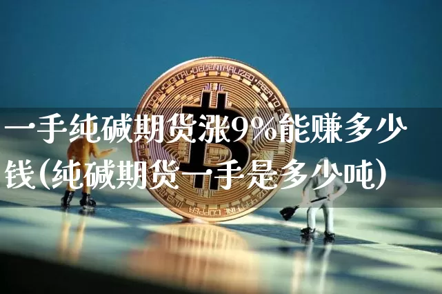 一手纯碱期货涨9%能赚多少钱(纯碱期货一手是多少吨)_https://www.dbjyqcj.com_郑商所_第1张