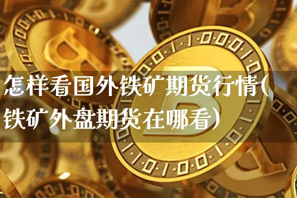 怎样看国外铁矿期货行情(铁矿外盘期货在哪看)_https://www.dbjyqcj.com_上期所_第1张