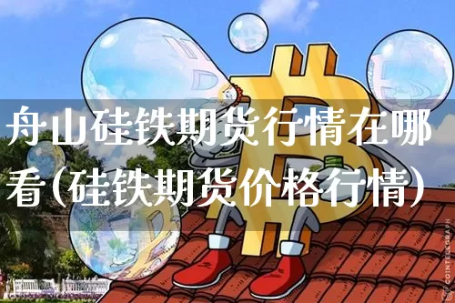 舟山硅铁期货行情在哪看(硅铁期货价格行情)_https://www.dbjyqcj.com_上期能源_第1张