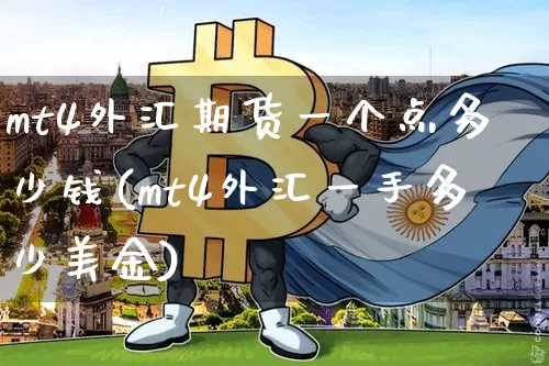 mt4外汇期货一个点多少钱(mt4外汇一手多少美金)_https://www.dbjyqcj.com_中金所_第1张