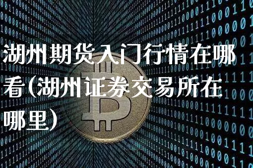湖州期货入门行情在哪看(湖州证券交易所在哪里)_https://www.dbjyqcj.com_上期所_第1张