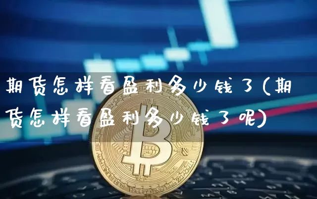 期货怎样看盈利多少钱了(期货怎样看盈利多少钱了呢)_https://www.dbjyqcj.com_中金所_第1张