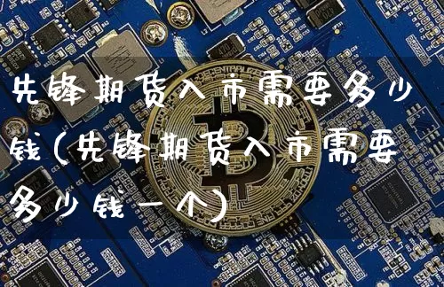 先锋期货入市需要多少钱(先锋期货入市需要多少钱一个)_https://www.dbjyqcj.com_上期所_第1张