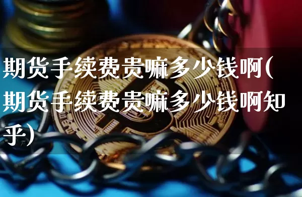 期货手续费贵嘛多少钱啊(期货手续费贵嘛多少钱啊知乎)_https://www.dbjyqcj.com_上期能源_第1张