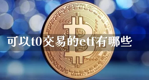可以t0交易的etf有哪些_https://www.dbjyqcj.com_大商所_第1张