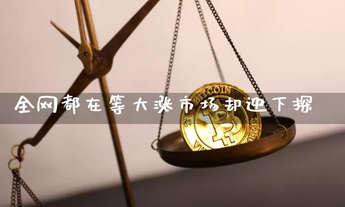 全网都在等大涨市场却迎下探_https://www.dbjyqcj.com_郑商所_第1张