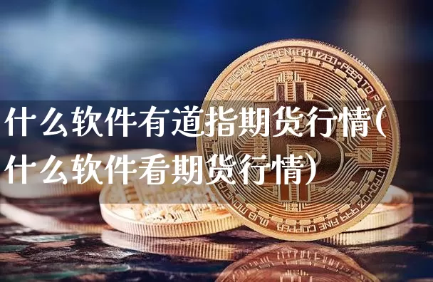 什么软件有道指期货行情(什么软件看期货行情)_https://www.dbjyqcj.com_上期所_第1张