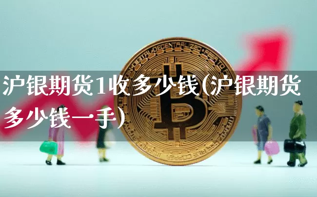 沪银期货1收多少钱(沪银期货多少钱一手)_https://www.dbjyqcj.com_广期所_第1张