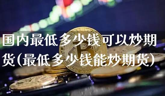 国内最低多少钱可以炒期货(最低多少钱能炒期货)_https://www.dbjyqcj.com_广期所_第1张