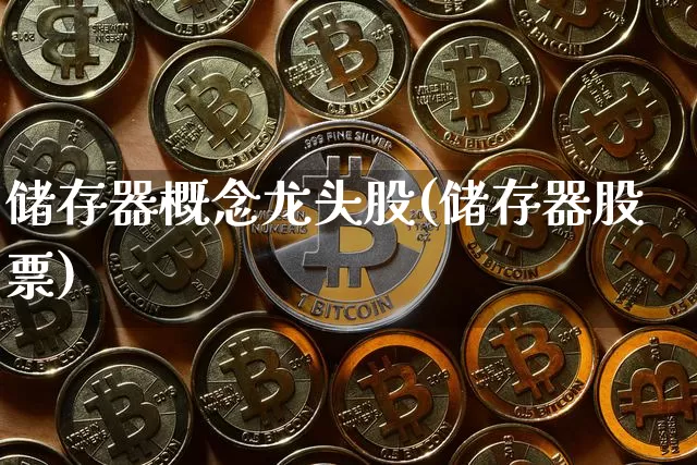 储存器概念龙头股(储存器股票)_https://www.dbjyqcj.com_郑商所_第1张