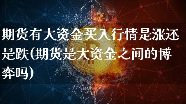 期货有大资金买入行情是涨还是跌(期货是大资金之间的博弈吗)_https://www.dbjyqcj.com_广期所_第1张