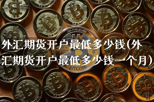 外汇期货开户最低多少钱(外汇期货开户最低多少钱一个月)_https://www.dbjyqcj.com_大商所_第1张