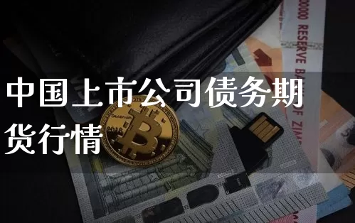 中国上市公司债务期货行情_https://www.dbjyqcj.com_广期所_第1张