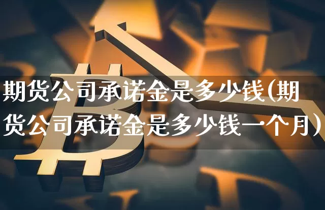 期货公司承诺金是多少钱(期货公司承诺金是多少钱一个月)_https://www.dbjyqcj.com_上期所_第1张