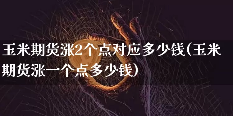 玉米期货涨2个点对应多少钱(玉米期货涨一个点多少钱)_https://www.dbjyqcj.com_上期所_第1张