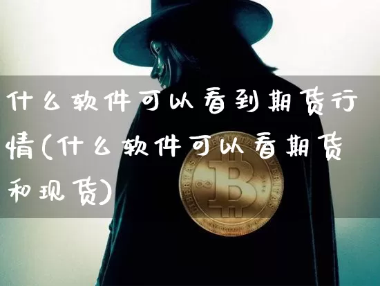 什么软件可以看到期货行情(什么软件可以看期货和现货)_https://www.dbjyqcj.com_广期所_第1张
