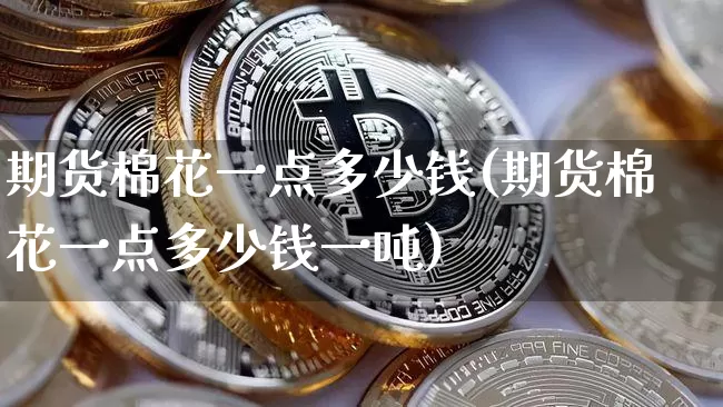 期货棉花一点多少钱(期货棉花一点多少钱一吨)_https://www.dbjyqcj.com_上期所_第1张