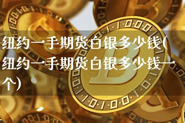 纽约一手期货白银多少钱(纽约一手期货白银多少钱一个)_https://www.dbjyqcj.com_上期能源_第1张